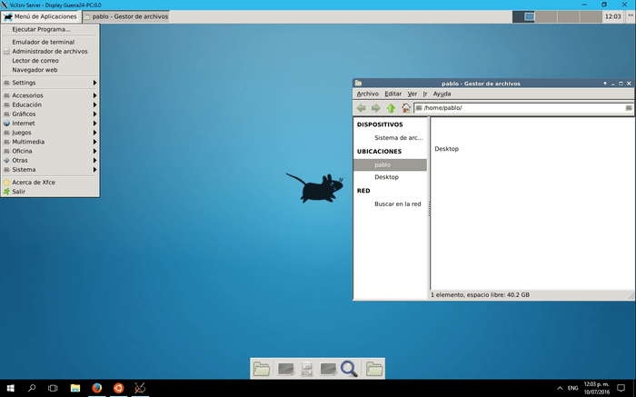Linux windows hosting